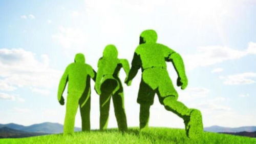 北清環(huán)能3.6億收購餐廚垃圾處理資產(chǎn) 溢價40倍背后的環(huán)保戰(zhàn)略與風(fēng)險